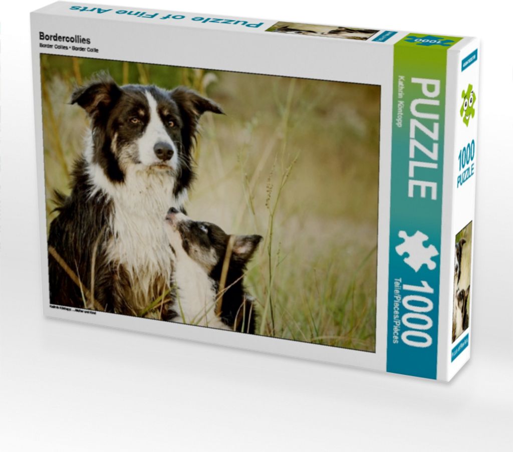 Calvendo Bordercollies 1000 Teile Puzzle quer 640x480mm, Köntopp Kathrin; 7403332