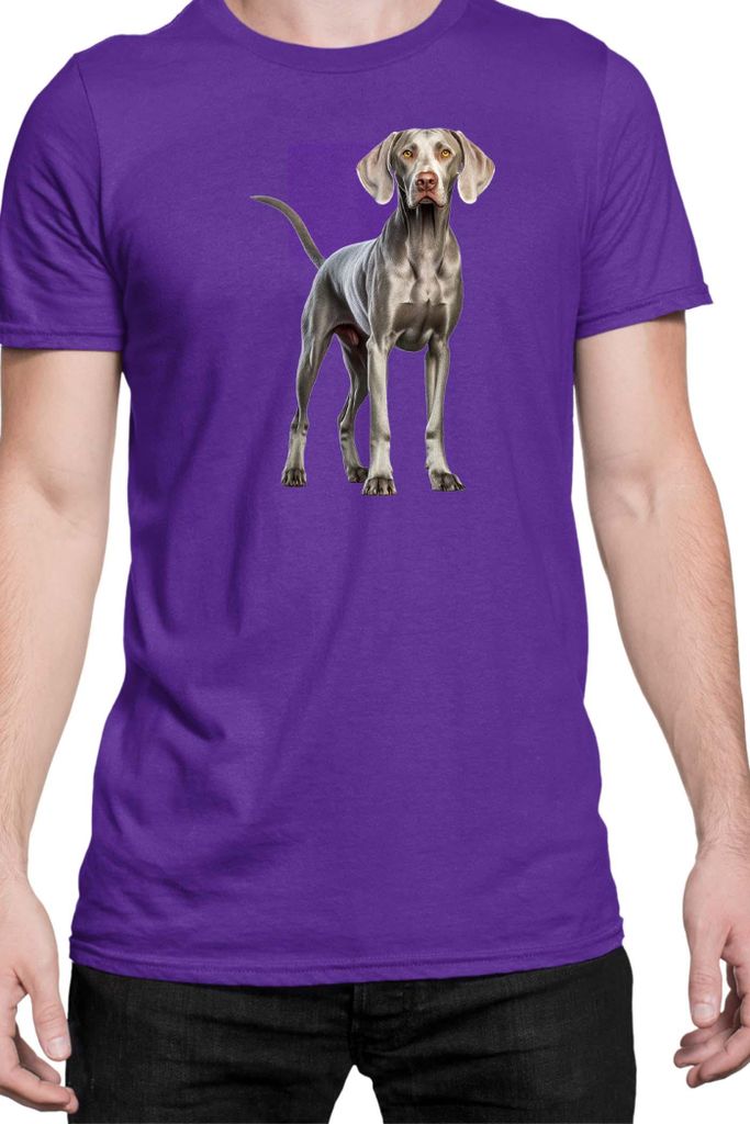 Herren T-Shirt Dogs Breeds Weimaraner Dog Breed 005, Man M / Lila