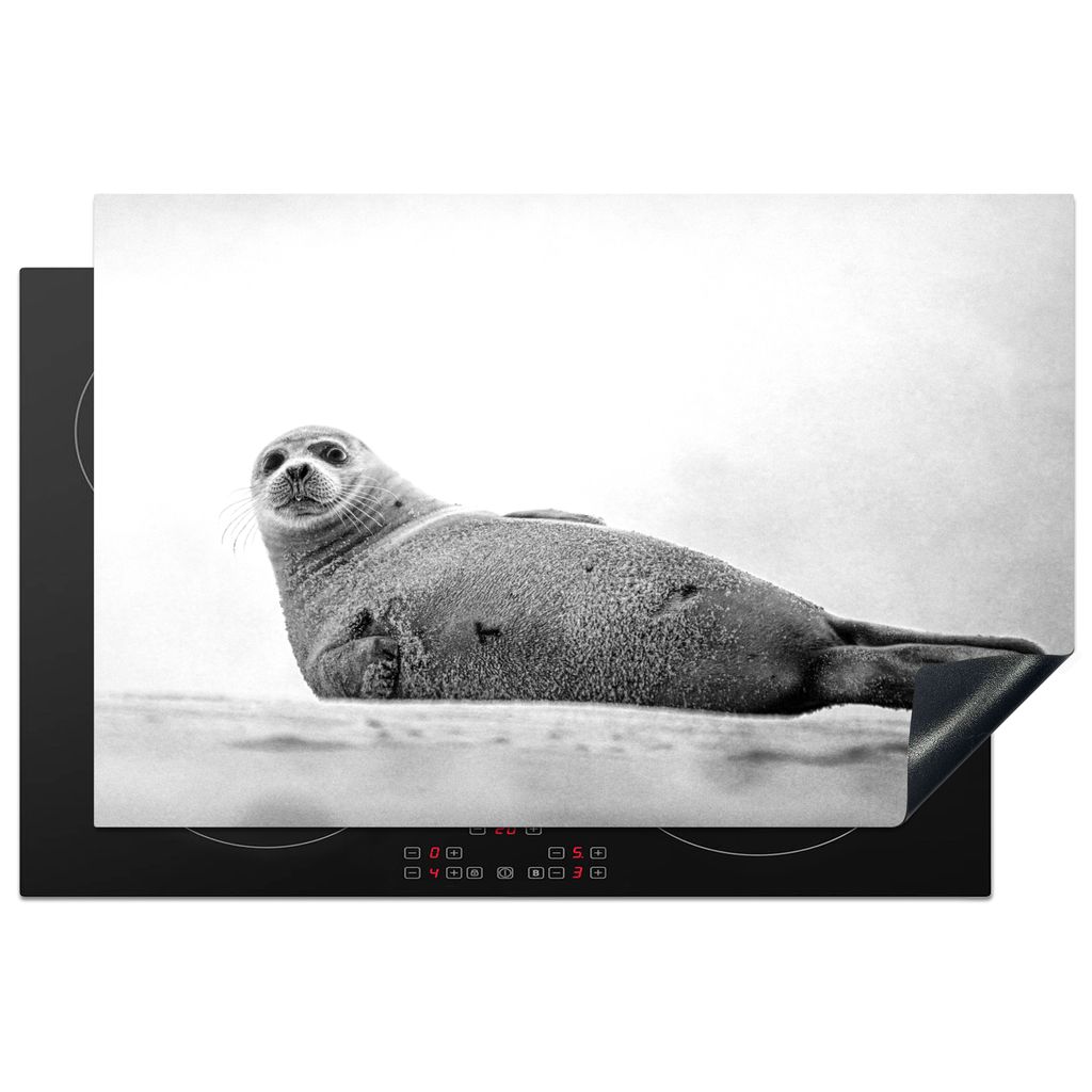 KitchenYeah Herdabdeckplatte Robbe posiert im Sand auf Long Island - schwarz und weiß , 80x52cm, Küche Deko, Glaskeramikkochfeld Herdabdeckung,...