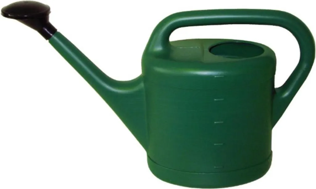 Grand Arrosoir de Jardin Traditionnel 13L Vert avec Pomme d'Arrosage Amovible