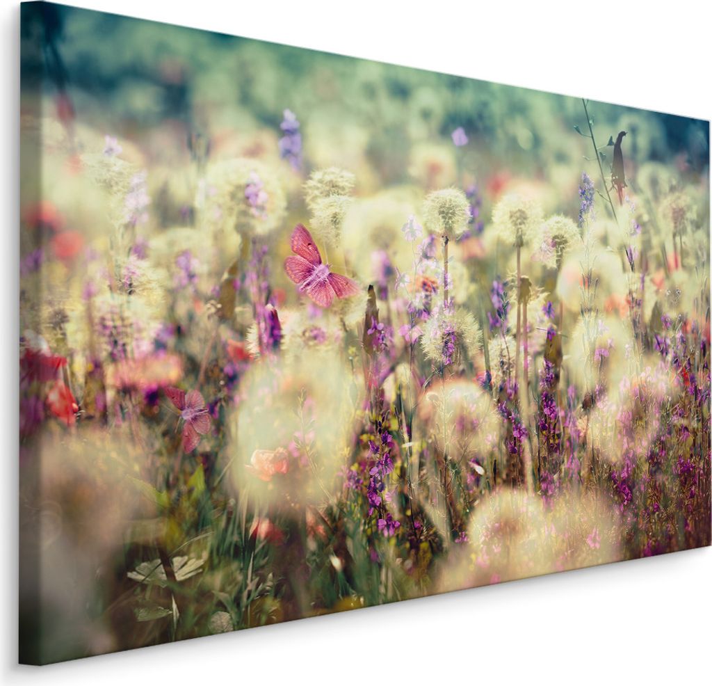 Fabelhafte Canvas LEINWAND BILDER 30x20 cm XXL Kunstdruck Natur Pusteblumen Lavendel