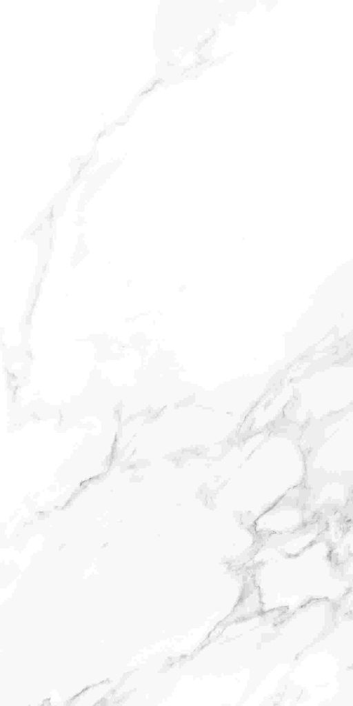 CASA39 Gres porcellanato effetto marmo Bianco 60x120 cm La Immagine del prodotto 