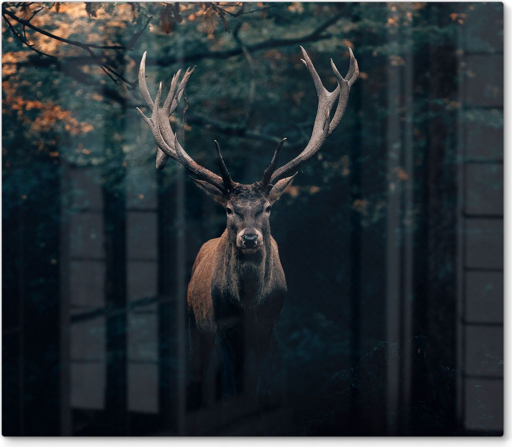 DEQORI Herdabdeckplatte Glas 1-tlg 'Elch im Teutoburger Wald' Herd Abdeckung Küche