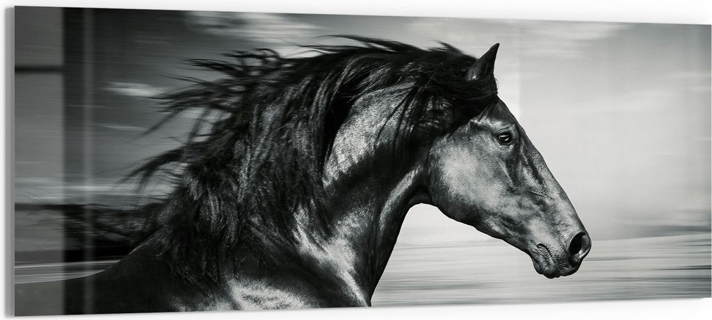 DEQORI Glasbild Echtglas 125x50 cm 'Galoppierendes Pferd' Wandbild Bild modern Deko