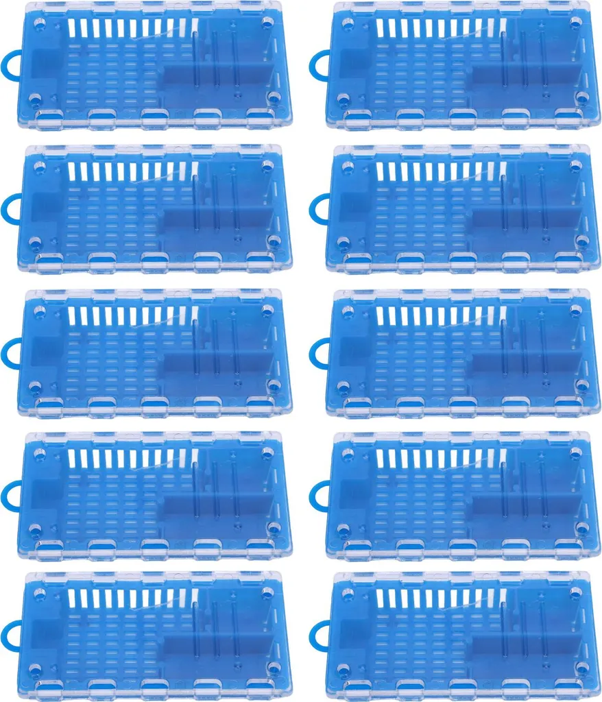 Gabbia Ape Regina Blu 10pz - Attrezzo Indispensabile Apicoltore