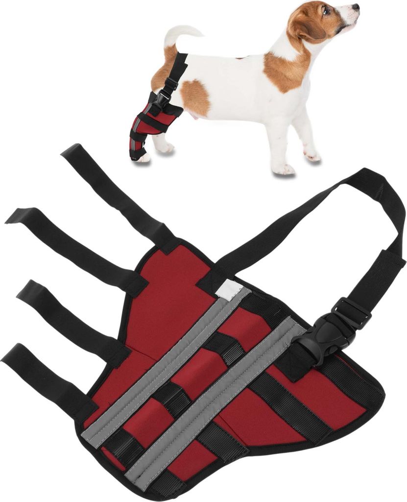 Hund Rechtes Hinterbein Stütze Atmungsaktive Gelenkbandagen Knieschoner Für Hundebeine Genesung Haustier Operationen Stabile Knieschoner Stütze ...