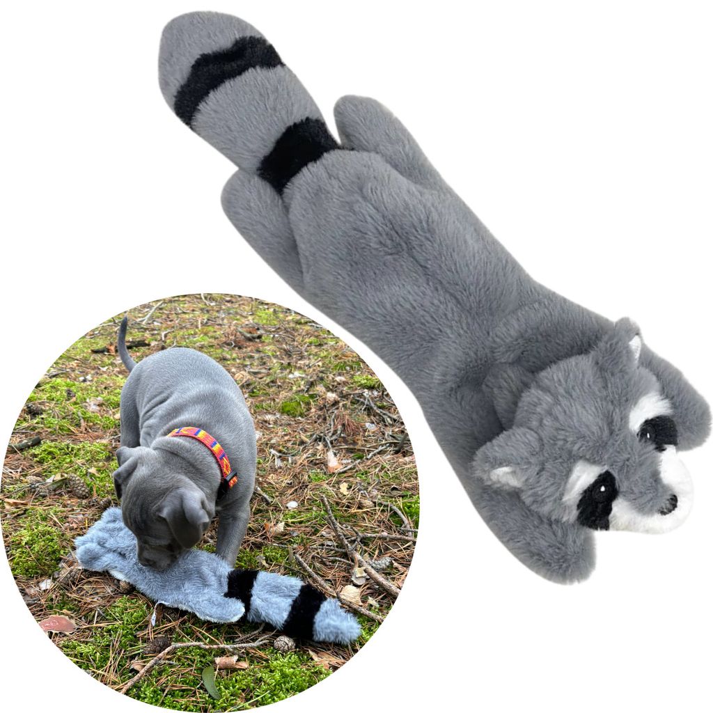 Peluche per cani con squeaker - procione, 45 cm Immagine del prodotto 