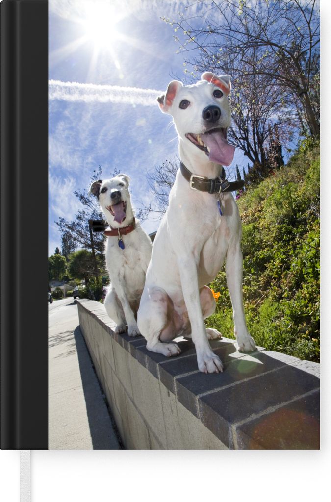 MuchoWow Notizbuch Tagebuch Haushaltsbuch Notebook A5 Zwei Jack Russel Hunde an einer Wand - Notizblock - Notizheft - Notebook - Schreibblock - P...