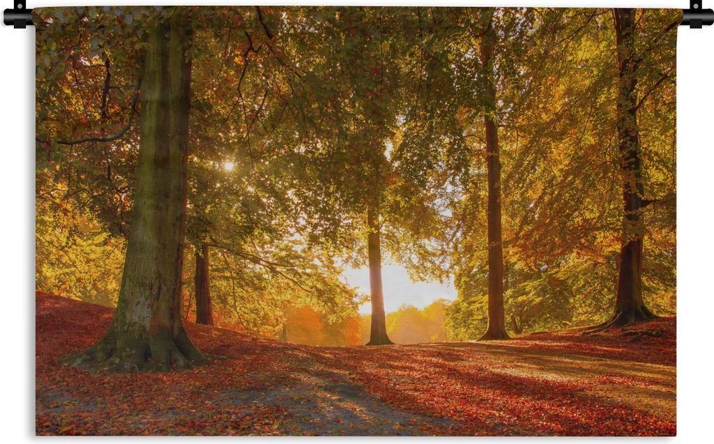 MuchoWow Wandteppich Wandbehang Herbst - Licht - Wald 60x40 cm Tapisserie Dekoration Wandtuch - Wanddekorationen