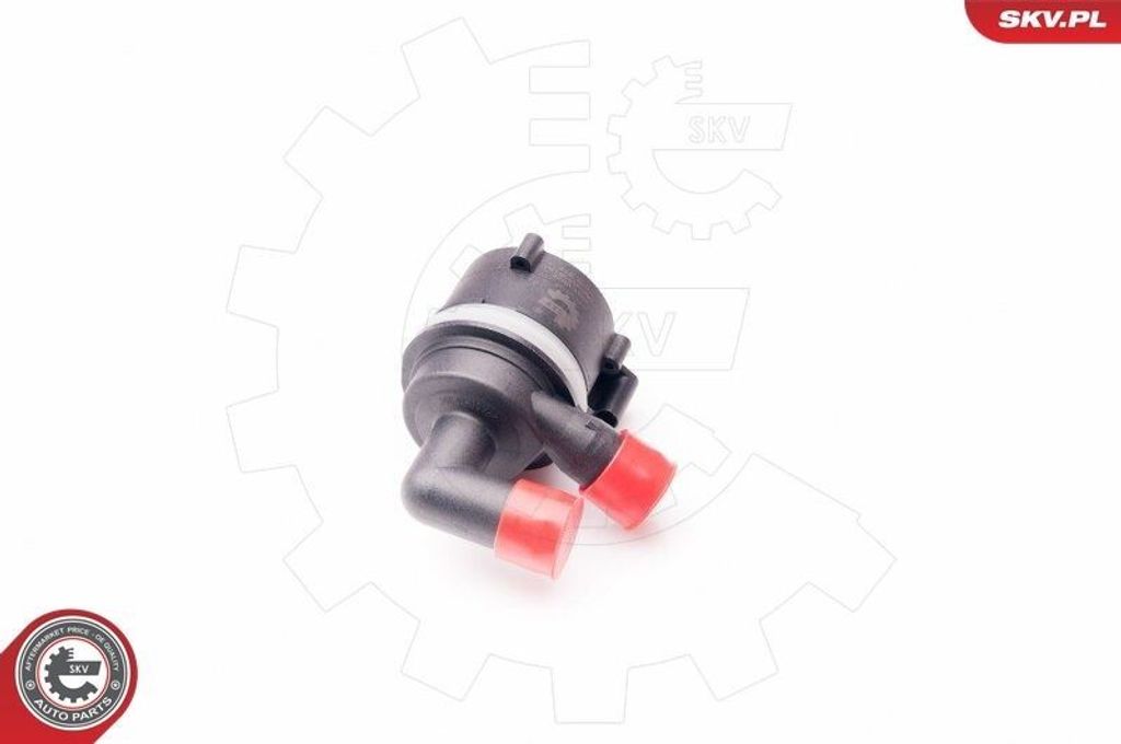 ESEN SKV Umwälzpumpe Standheizung 22SKV022 für VW GOLF VI Produktbild 