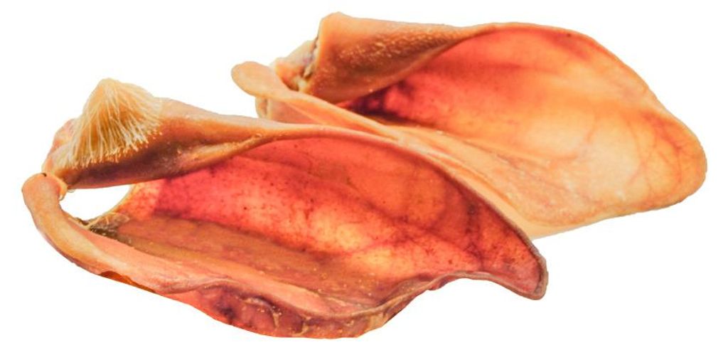 Mascota Vital Hunde-Kausnack Schweineohren 10 Stück