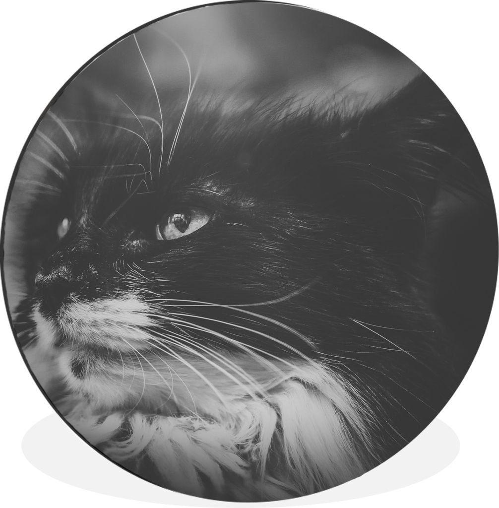 MuchoWow Aluminium Wandkreis Tierprofil seitwärts blickende Katze in Schwarz und Weiß Ø 30 cm Wanddeko Modern Wohnzimmer - Wand Bild - Wohnzim...