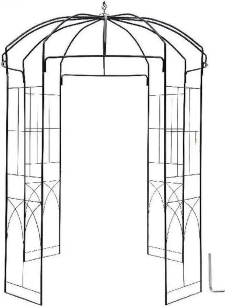 Tonnelle de jardin décorative en métal noir style cage à oiseaux 2m40