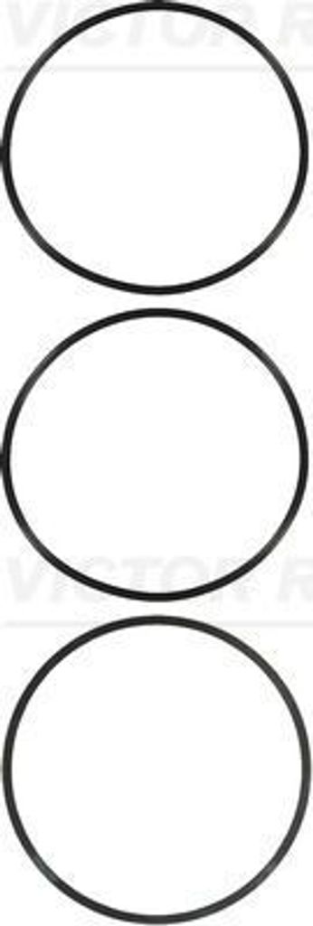 REINZ Dichtungssatz Zylinderlaufbuchse 15-76031-01 passend für MERCEDES-BENZ ACTROS