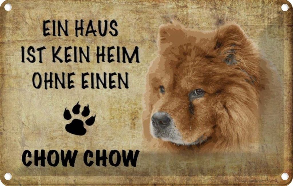 vianmo Blechschild 20x30 cm Chow Hund Tier Haustier