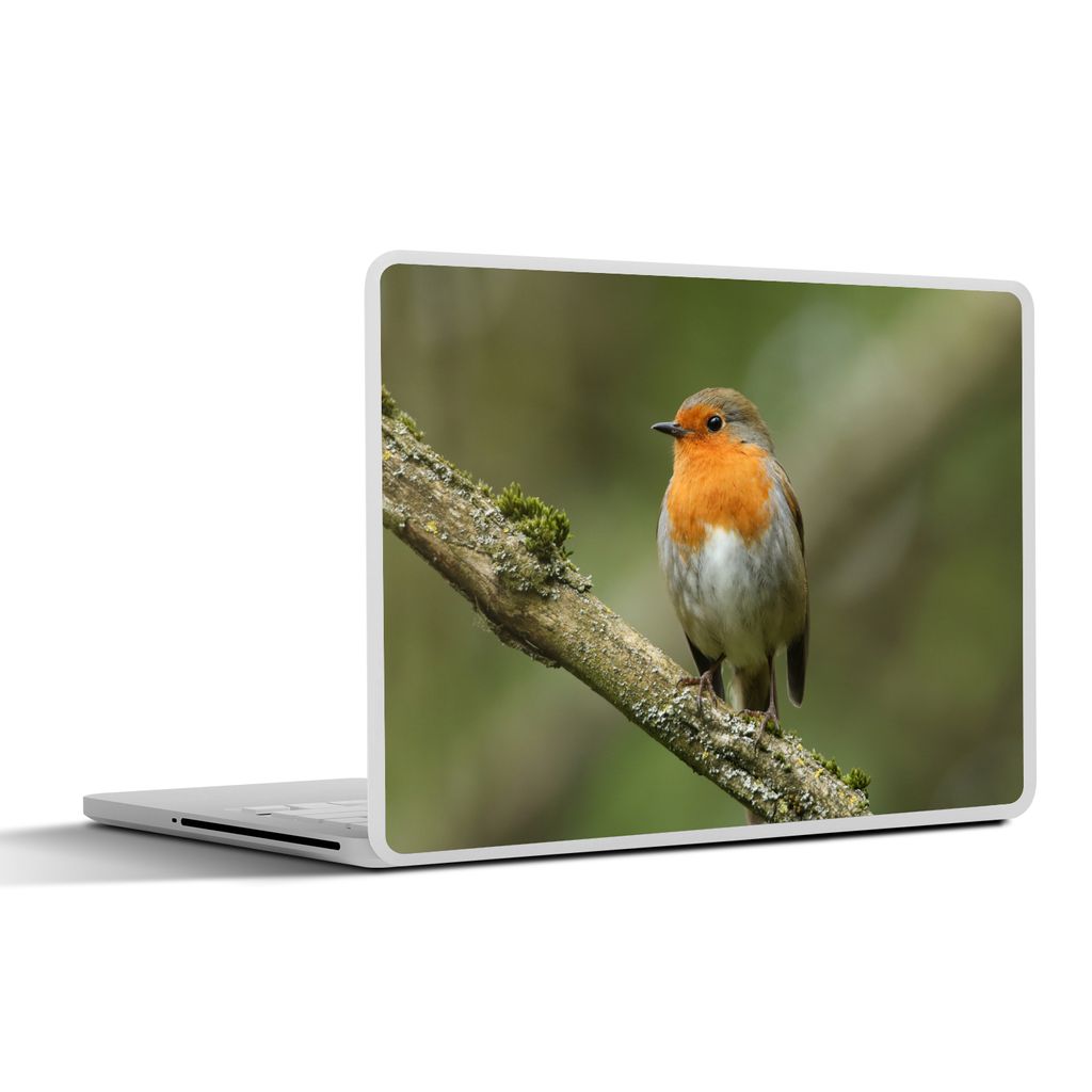 MuchoWow Laptop Aufkleber Sticker Cover Vogel - Rotkehlchen - Zweig - Pflanzen 40x30 cm - Laptop Dekoration - Selbstklebend