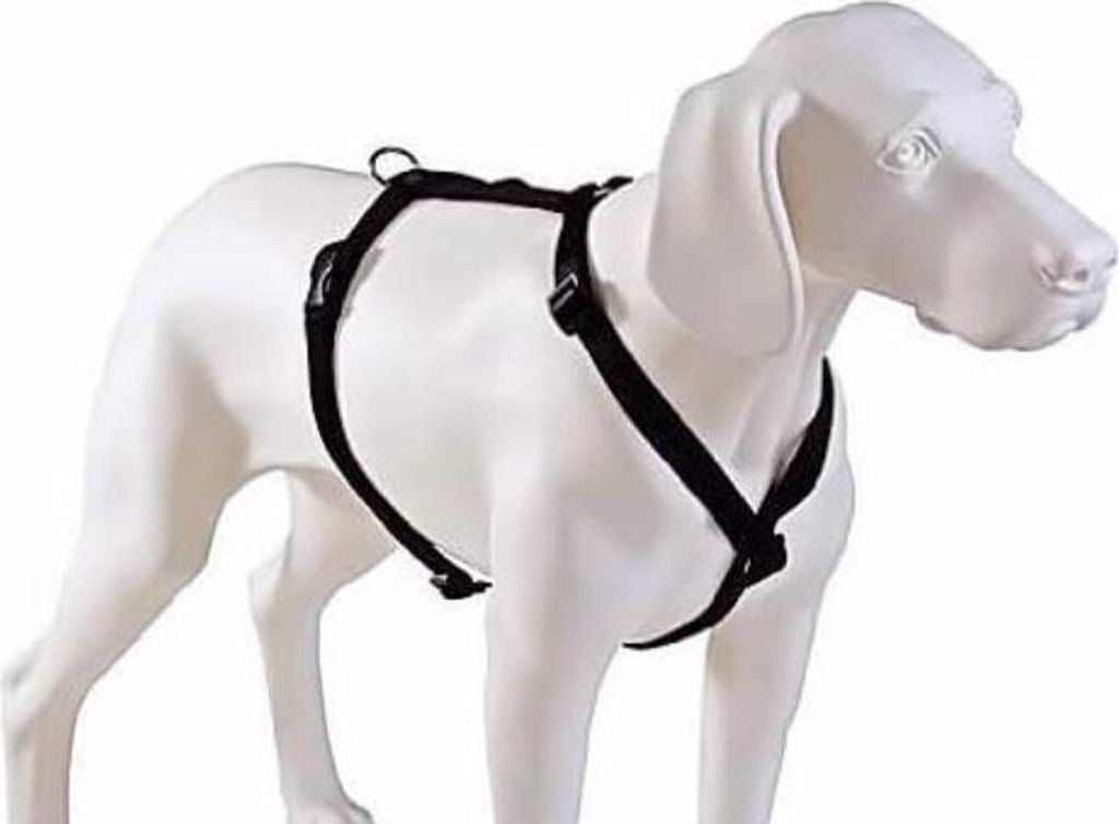 Hunter Nylon Hunde Geschirr " Vario Ypsilon"  Gr. XS Farbe Produktbild 2