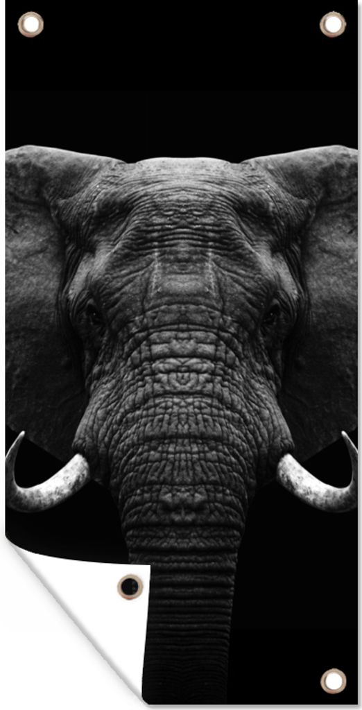 MuchoWow 40x80 cm Outdoor-Poster Gartendeko Sichtschutz Garten Poster für den Garten Tiere - Elefant - Porträt - Schwarz - Weiß
