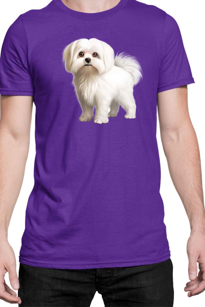 Herren T-Shirt Dogs Breeds Maltese Dog Breed 005, Man L / Lila