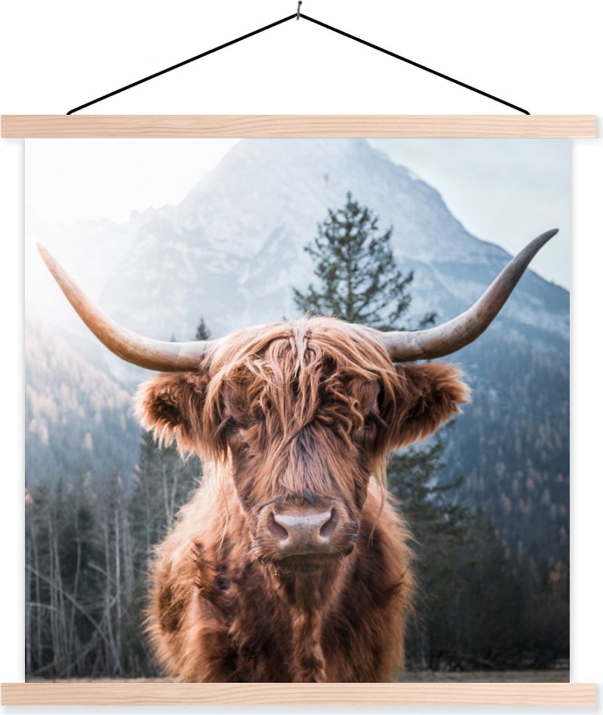 MuchoWow Textilposter Schottische Hochlandrind - Berge - Landschaft 60x60 cm mit holzfarbenen Rahmen - Wanddekoration