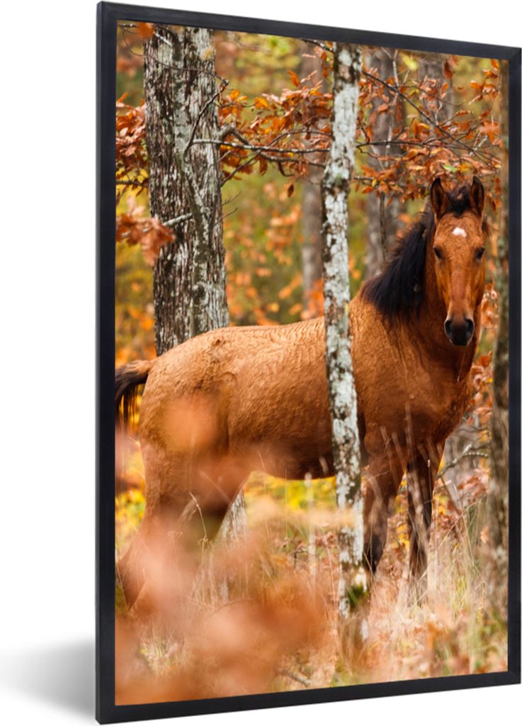 MuchoWow Gerahmtes Poster Pferd - Wald - Braun 20x30 cm - Poster mit Schwarzem Bilderrahmen Wandposter Rahmen Foto Bilder - Drucken - Bilder Post...