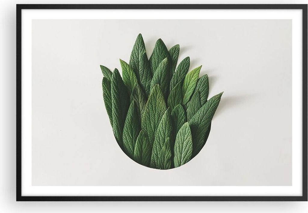Gerahmtes Poster - Schwarzer Rahmen - Salbei Medizin Blätter - 91,5x61 cm - Wand Bild - Wanddeko - Wandbilder - Kunstposter - Wandposter - Bilderr...