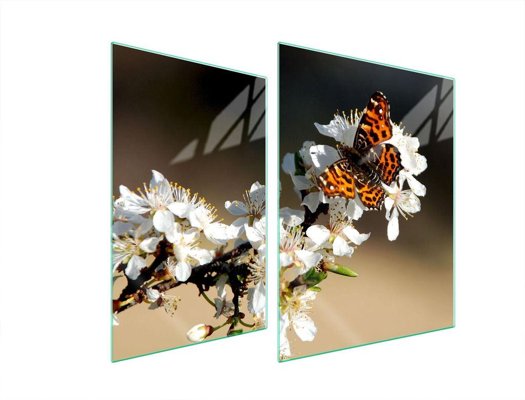 Glasschutzplatte Für Herd 70X52 Pflaume