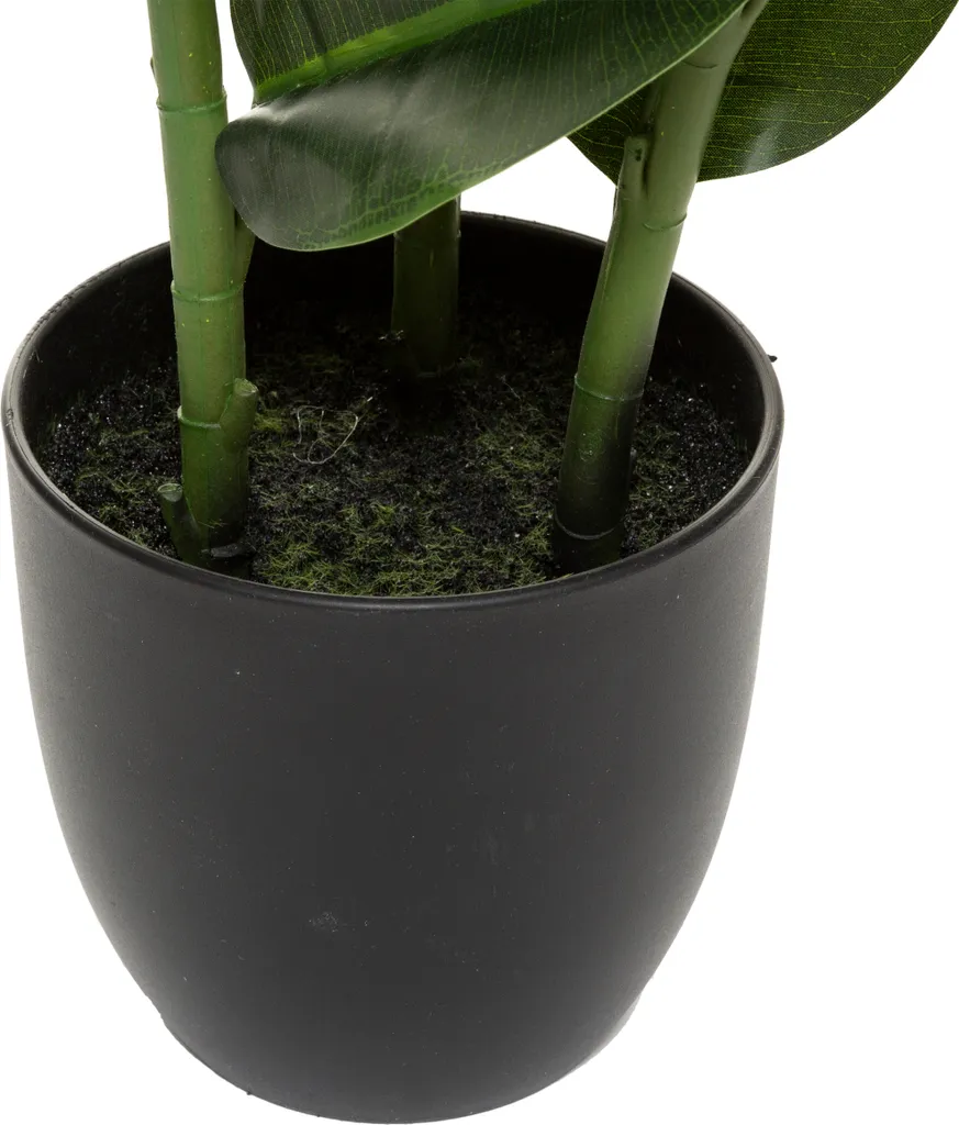 Ficus Robusta Artificiel 120cm : La Solution Déco sans Main Verte