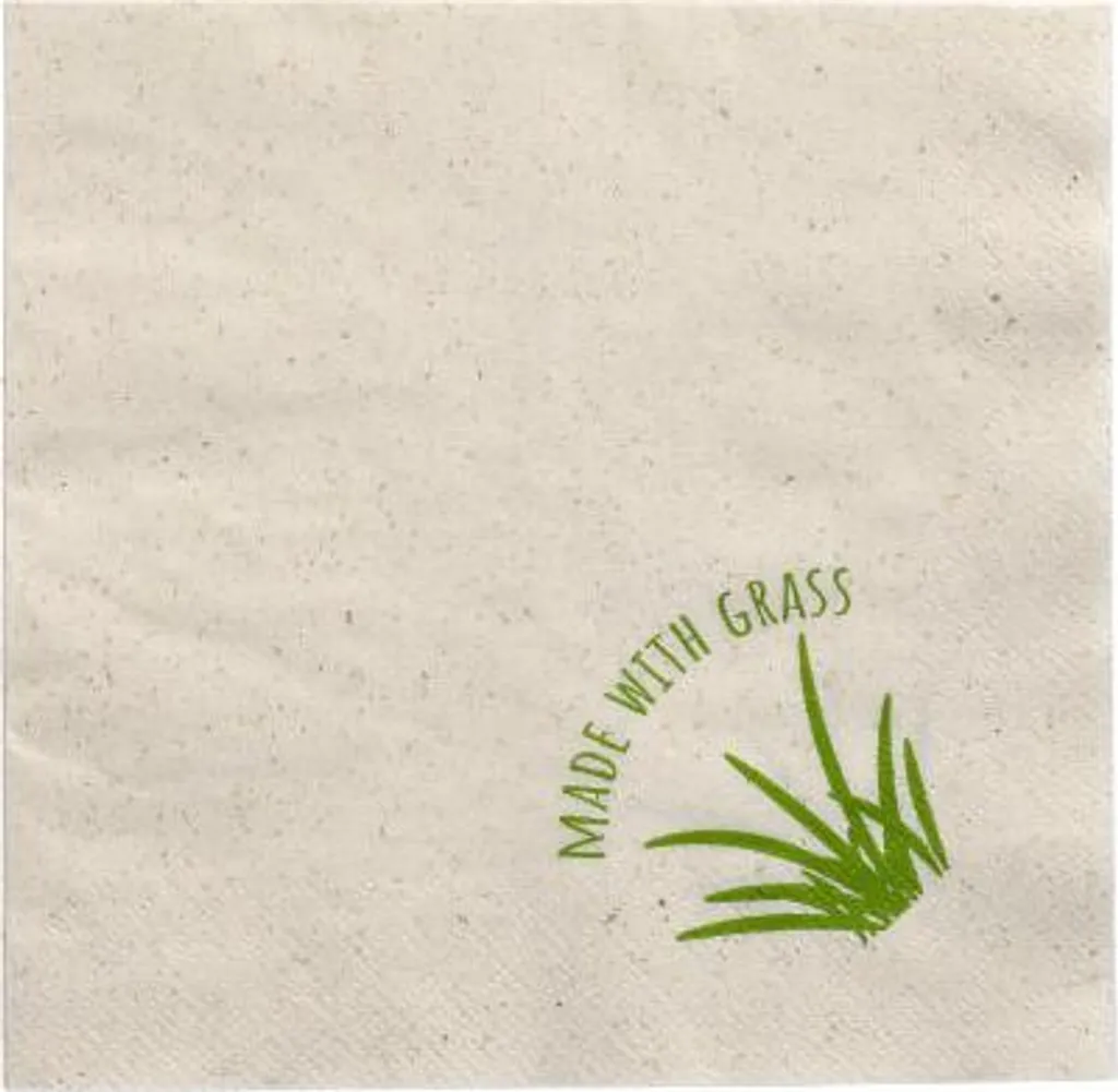 Serviettes de Table Jetables Naturelles 33x33 cm pour Déjeuner