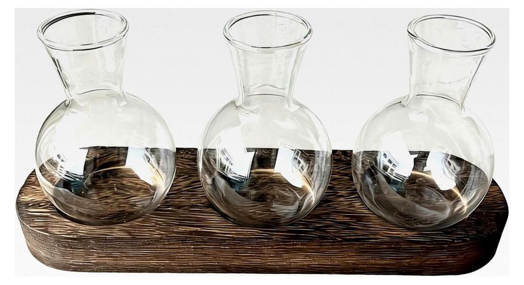Pflanzenanzuchtgläser, dekorative Glaswurzelbehälter mit Holzrahmen, Hydrokultur-Pflanzgefäß für Schreibtisch, Bücherregal, Wohnheim, Wohnung