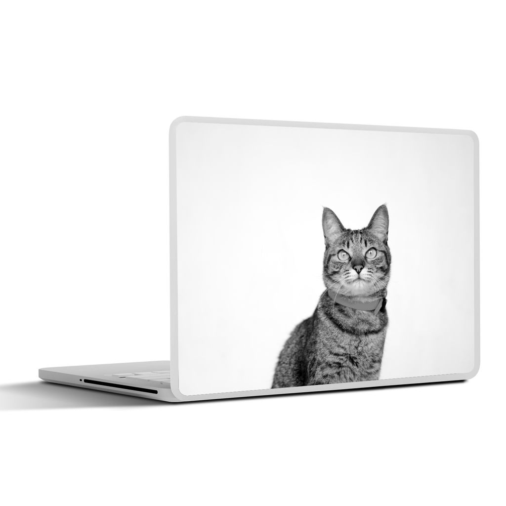 MuchoWow Laptop Aufkleber Sticker Cover Katze - Halskette - Orange - Mädchen - Kinder - Jungen - Kinder 36.5x27.5 cm - Laptop-Sticker
