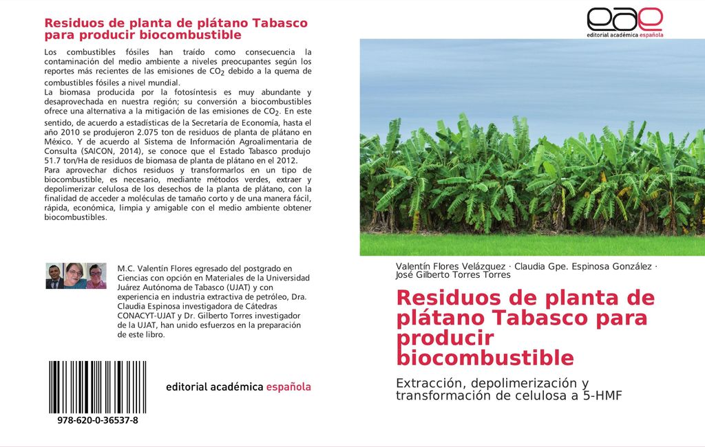Residuos de planta de plátano Tabasco para producir biocombustible