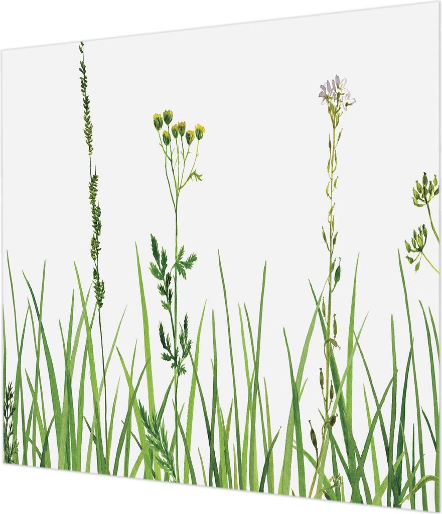 Wandtapete - Dekorative Tapete für Wohnzimmer - Tapetenfolie für Wanddekoration - 250x250 cm - Zarte Flora