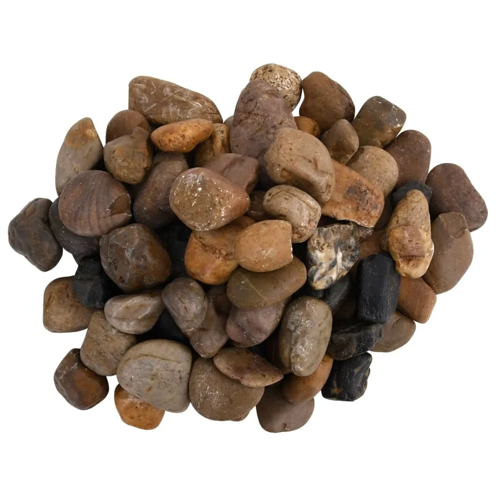 Sassi Decorativi 10kg Multicolore 2-5 cm - Design per Esterni e Interni - 2