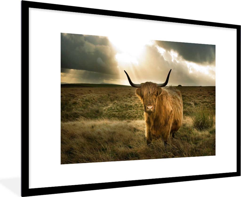 MuchoWow Gerahmtes Poster Schottischer Hochländer - Sonne - Gras 90x60 cm - Poster mit Schwarzem Bilderrahmen Wandposter Rahmen Foto Bilder - Wa...