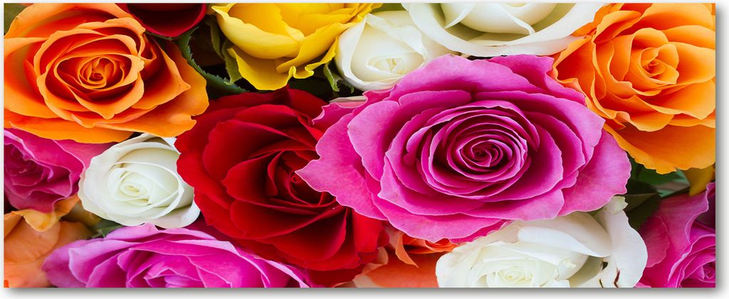 Tulup Leinwandbild - 125x50 cm - Wandkunst - Drucke auf Leinwand - Leinwanddruck - Blumen & Pflanzen - Mehrfarbig - Bunte Rosen