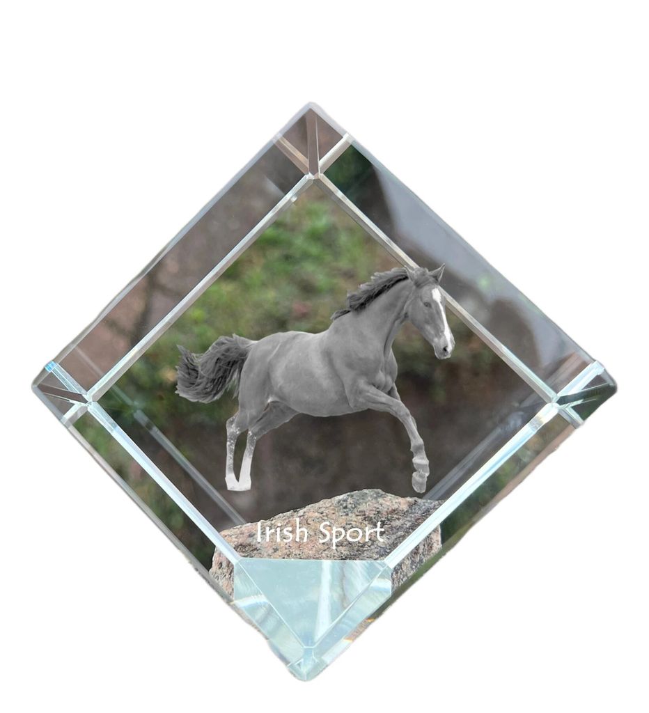 Irischer Sport - Kristallwürfel mit Pferdebild, Pferdebild im Kristall, sechseckiger Papierclip der Marke Art-Dog