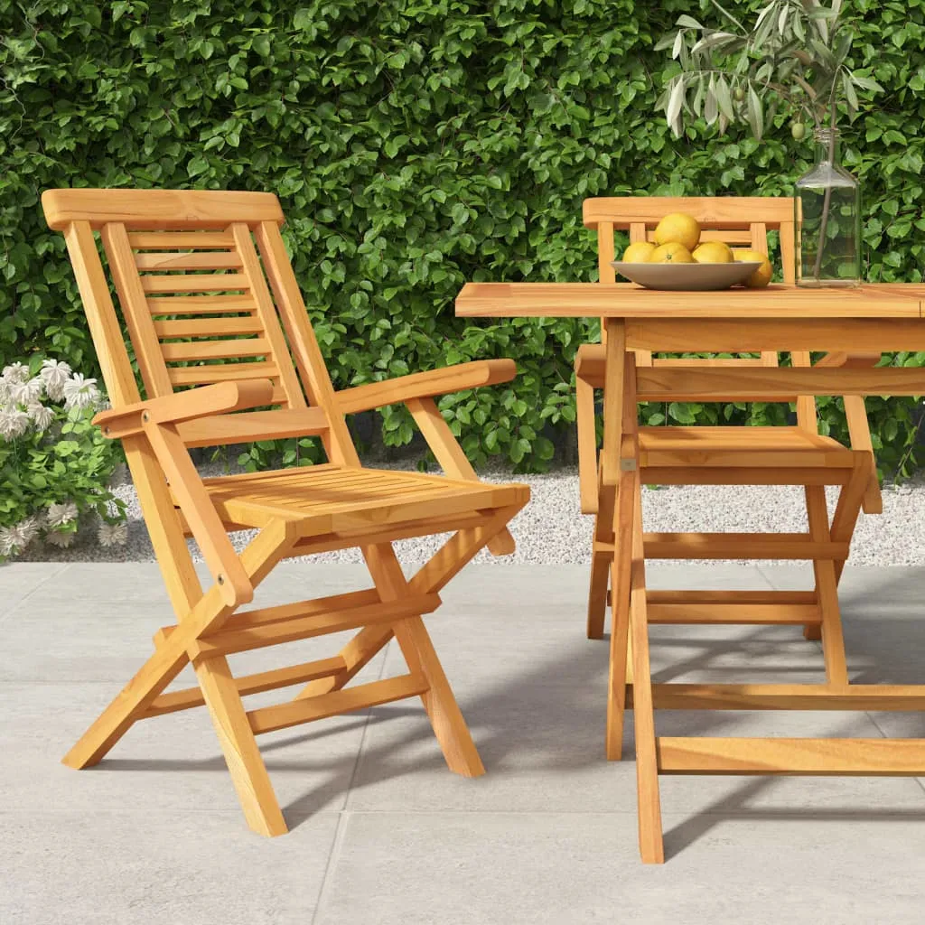 Chaises de jardin robustes en teck lot de 2 résistantes aux intempéries - 2