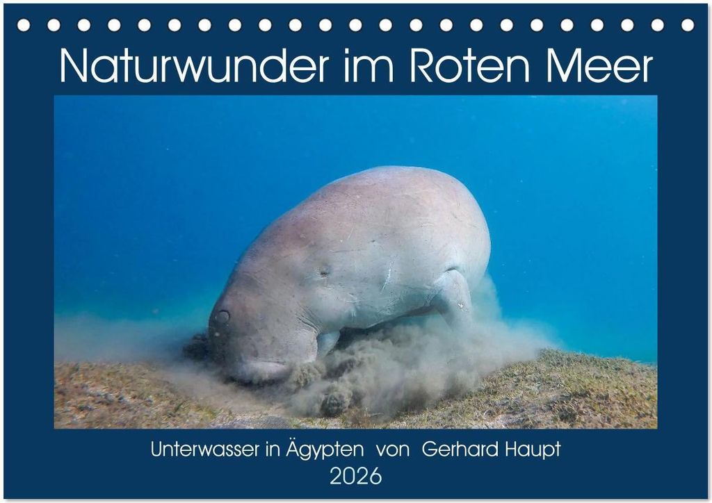 Naturwunder im Roten Meer (Tischkalender 2026 DIN A5 quer), CALVENDO Monatskalender