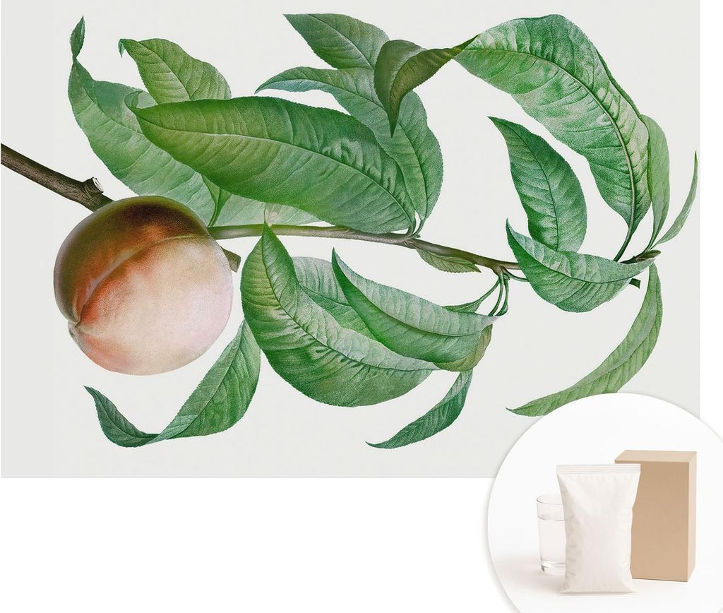 Fototapete - Wandbilder für Wohnzimmer - 152x104 cm - Dekorative Wandfolie - Modernes Design für Wanddekoration - Tapeten für Innenräume - Reif...