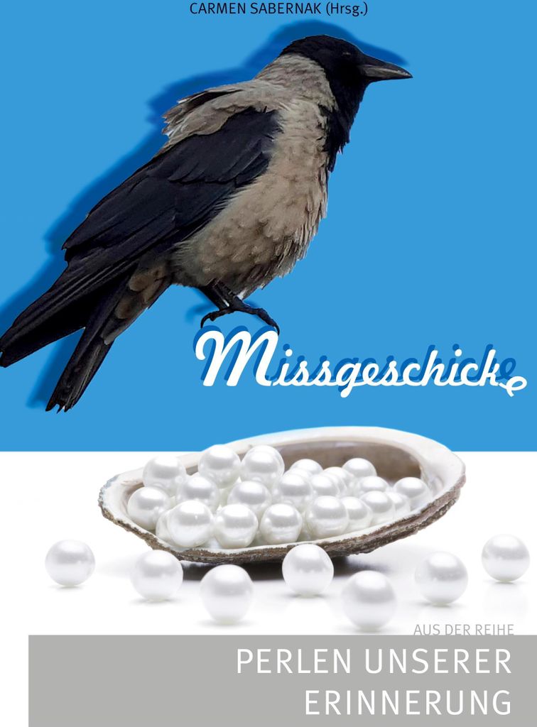 Missgeschicke