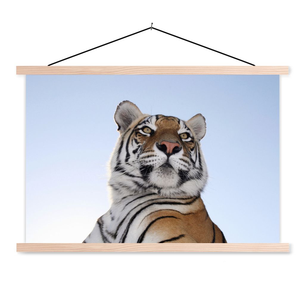 MuchoWow Textilposter Tiger - Himmel - Kopf 120x80 cm mit holzfarbenen Rahmen - Aufhängeset