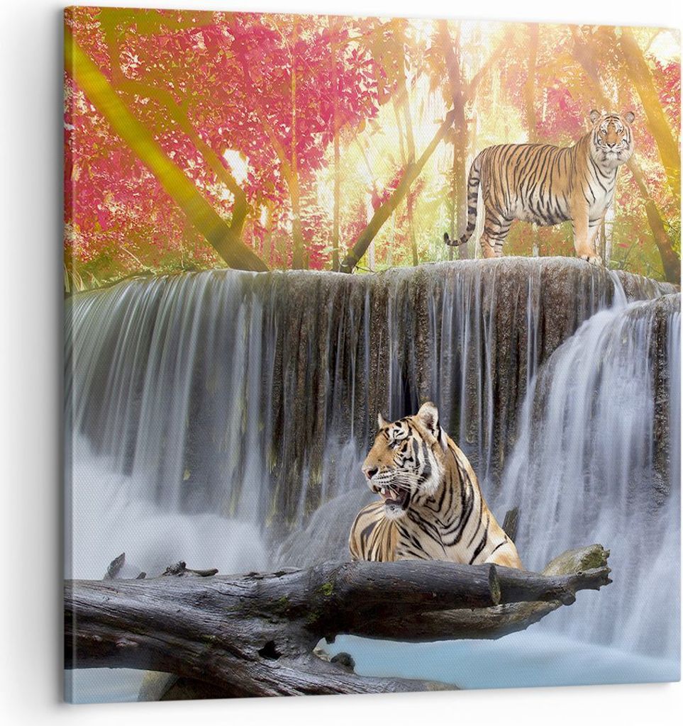 Bild auf Leinwand - Leinwandbild - Tiger natur tier paradies - 60x60cm - Wand Bild - Wanddeko - Leinwanddruck - Bilder - Kunstdruck - Wanddekoratio...