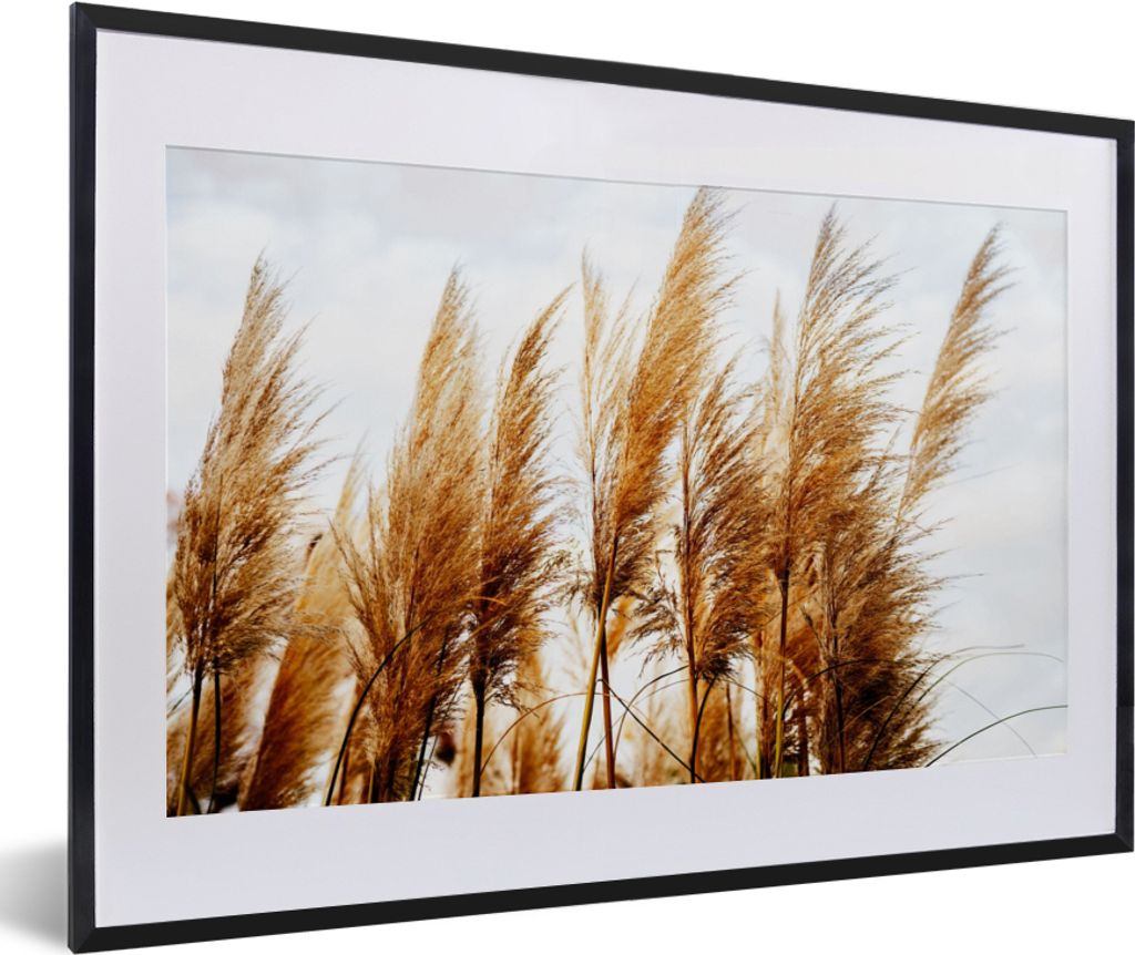 MuchoWow Gerahmtes Poster Pampasgras - Sonne - Gras 60x40 cm - Poster mit Schwarzem Bilderrahmen Wandposter Rahmen Foto Bilder - Schlafzimmer - P...