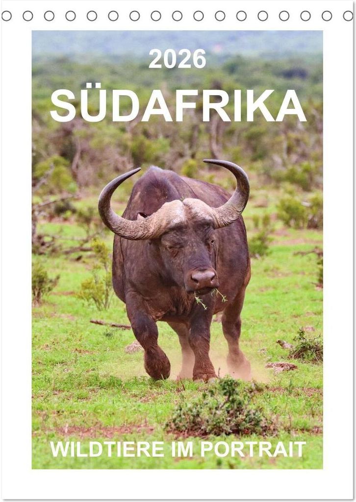SÜDAFRIKA - WILDTIERE IM PORTRAIT (Tischkalender 2026 DIN A5 hoch), CALVENDO Monatskalender