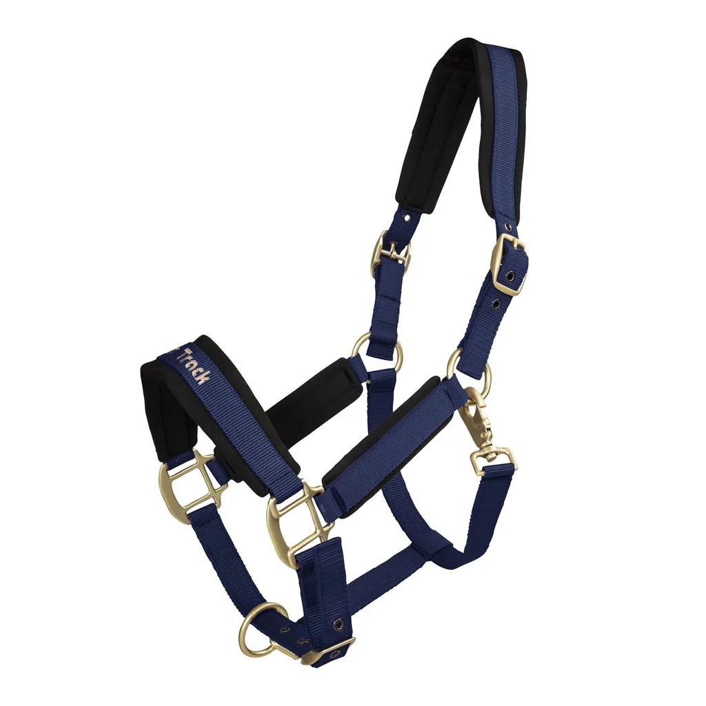 Capezza Back on Track Werano Blu Full: Comfort Terapeutico Welltex