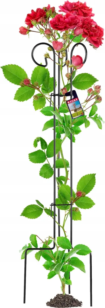 Tuteur Colonne de Jardin en Métal pour Rosiers et Plantes Grimpantes Vert