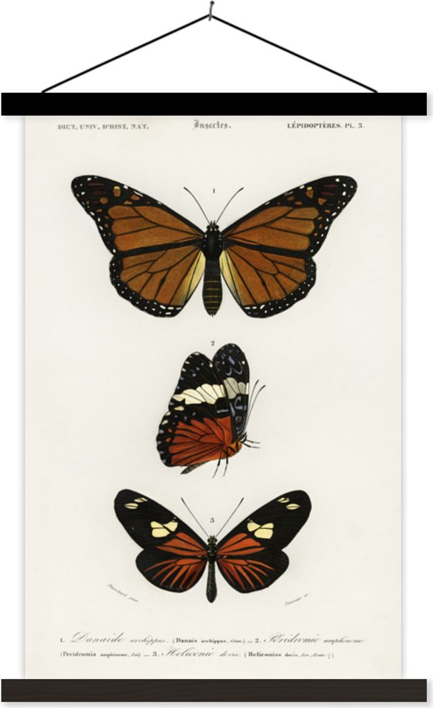 MuchoWow Textilposter Schmetterling - Vintage - Insekten 40x60 cm mit schwarzem Rahmen - Wanddekorationen