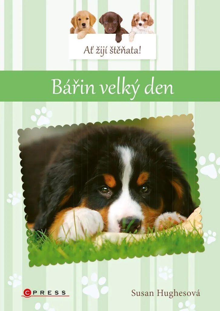 Susan Hughes - Bářin velký den (Bouvier Bernois) - Chapitre 96p