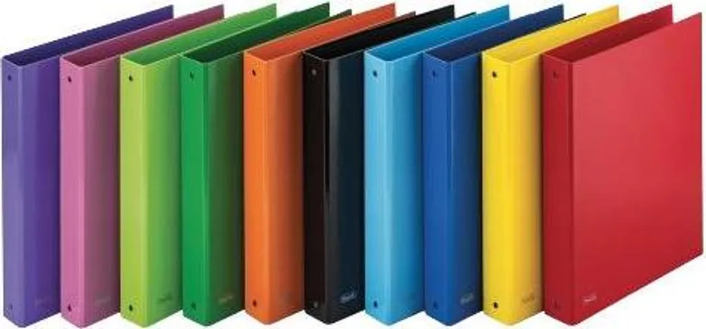 Favorit 400152300 Classeur à Anneaux A4 Rigide en Polypropylène Coloris